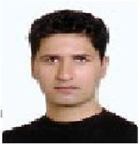 amir&nbsp;badan migam